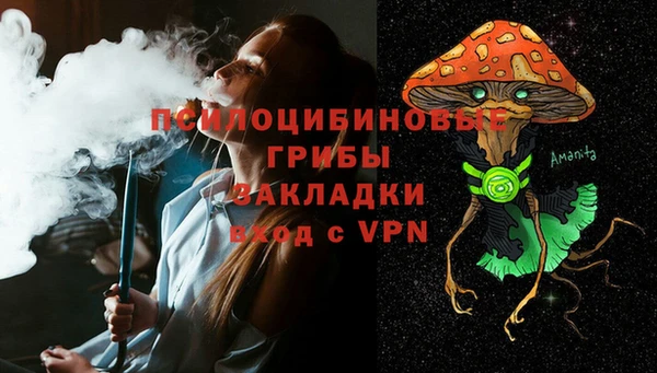 ГАЛЛЮЦИНОГЕННЫЕ ГРИБЫ Кулебаки