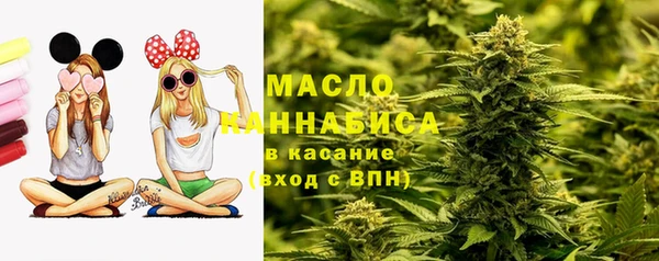 шишки Краснотурьинск