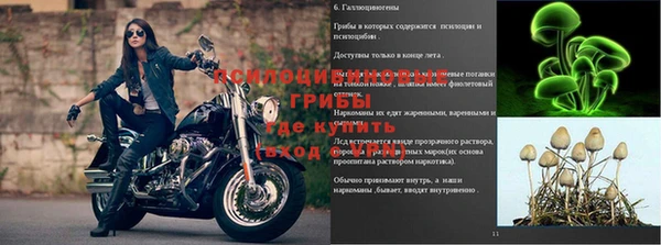 ГАЛЛЮЦИНОГЕННЫЕ ГРИБЫ Кулебаки
